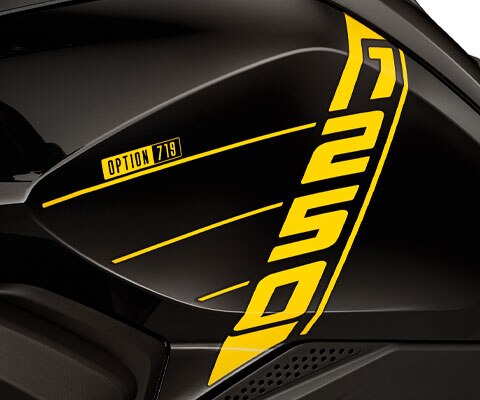 Option 719ロゴと“1250”のレタリングをあしらったタンクグラフィック