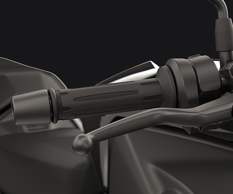 Adjustable hand levers and heated grips of the F 450 R from BMW Motorrad