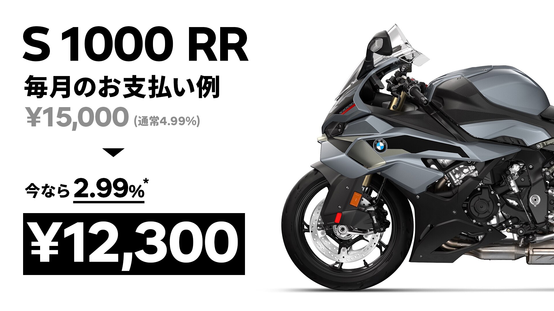 いるか BMW S1000R S1000 R 2021 2022 🎊 2023 【混群】 2024 フルカーボン